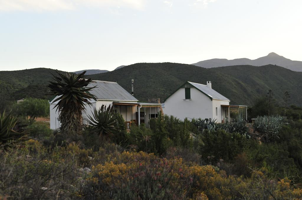 فيلا Matjiesvlei Guestfarm كاليتزدورب المظهر الخارجي الصورة