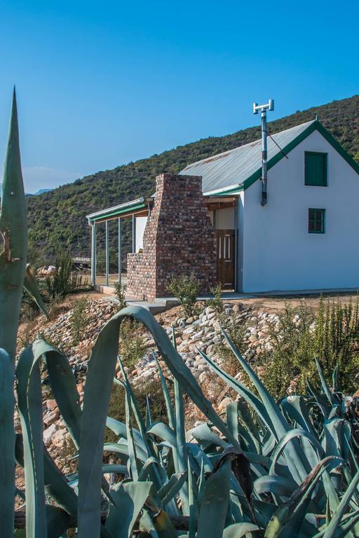 فيلا Matjiesvlei Guestfarm كاليتزدورب المظهر الخارجي الصورة