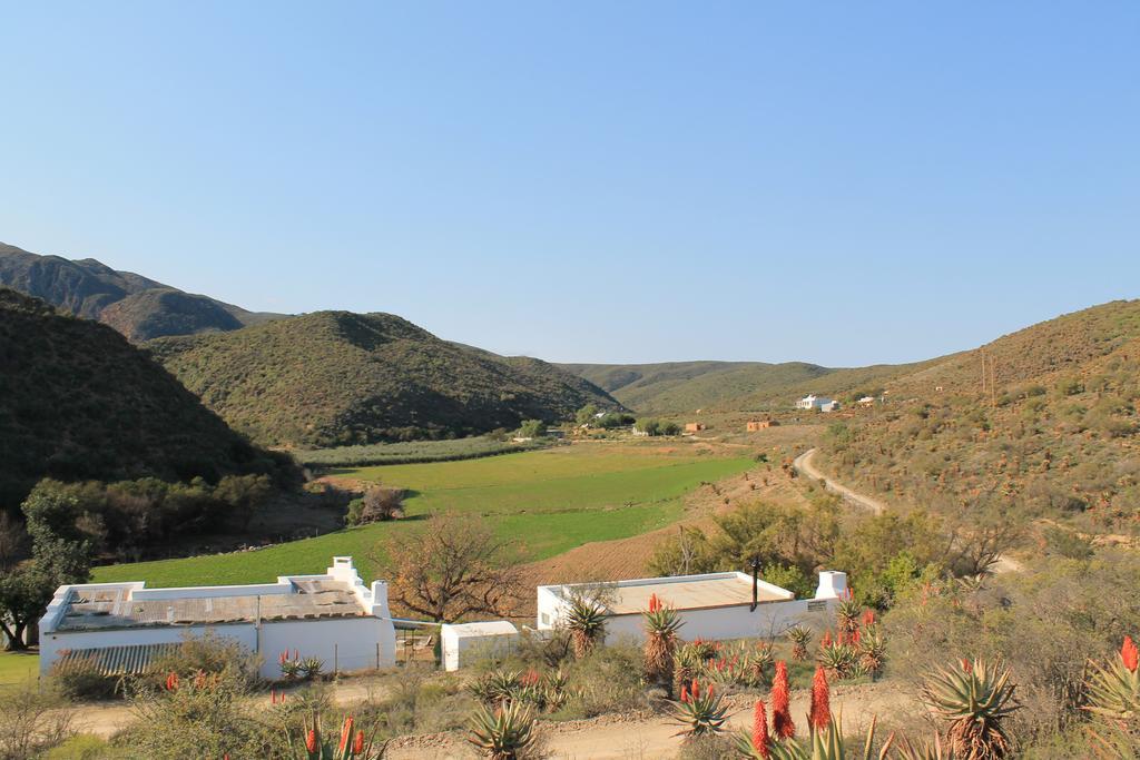 فيلا Matjiesvlei Guestfarm كاليتزدورب المظهر الخارجي الصورة